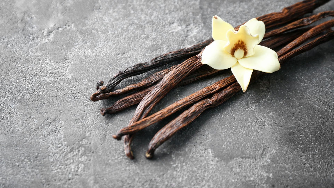 Aromatika prirode: Čarolija vanile u vašoj kuhinji