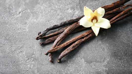 Aromatika prirode: Čarolija vanile u vašoj kuhinji