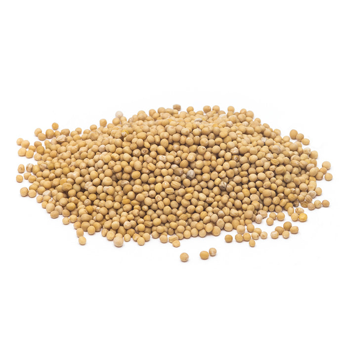 Sjemenke gorušice / 25g